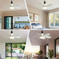 ⏳💥Summer Hot Sale 60% OFF❄️2-in-1 Portable Ceiling Fan & Light With Remote Control