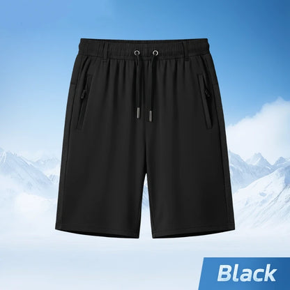 ❄️Summer Hot Sale 60% OFF🩳Men’s Stretch Ice Silk Shorts