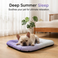 🔥Summer Hot Sale 60% OFF🧊❄️Pet Cooling Pad Mat for Dogs and Cats🐶🐱Ice Silk Summer Cool Bed Blanket in Gradient Colours🐾