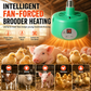 🎉 This Week's Special Sales - 50% OFF ✨ Intelligent Temperature Control Brooder Heater