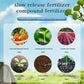 🔥2024 Hot Sale 🎉Home Gardening Universal Slow-Release Tablet Organic Fertilizer