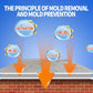 🎉This week's Special Sales - 59% OFF⏰Highly Effective Mould Removal Spray