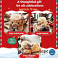 🎁Christmas Gift 50% OFF🐂🏆Cute Cartoon Highland Cow Cuddly Toy