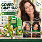 💞Black Friday Sale 50% OFF!!💇‍♀️💈Long-Lasting Plant-Based Bubble Mousse Hair Dye Shampoo, Gentle At-Home Gray Hair Coverage🛡️👍