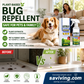 ✨Last Day Buy 2 Get 1 Free🐈🐕Plant-based Insect Repellent Spray🦟Keep annoying insects away！