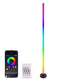 ⏳ Limited time 50% off! 🎉🌲Smart RGB + IC LED floor lamp with remote control and USB power supply