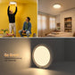 💡60% OFF This Week Promotions🎉Rechargeable Motion Sensor Ceiling Light with Remote（🔥Buy 2 Free Shipping🔥）