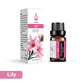 Premium Fragrance Essential Oils for Diffuser