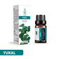 Premium Fragrance Essential Oils for Diffuser