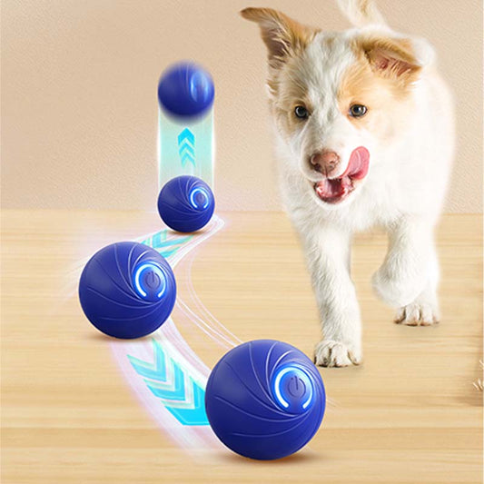 🎯Hot Sale 49% OFF Today🔥Rechargeable Pet Interactive Motion Ball with Lights