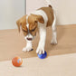 🎯Hot Sale 49% OFF Today🔥Rechargeable Pet Interactive Motion Ball with Lights