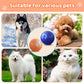 🎯Hot Sale 49% OFF Today🔥Rechargeable Pet Interactive Motion Ball with Lights