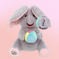 🎁Early Xmas Sales - 50% OFF🎅🔥Cute Hide & Seek Elephant Plush Doll