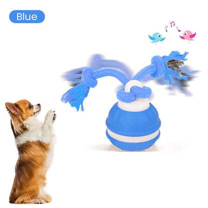 🏆 Hot Sale - 60% OFF ✨Smart Interactive Rolling Pet Ball with Bird Sounds