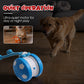🔥LAST DAY SALE 60% OFF!!🎁Smart Interactive Pet Toy Ball