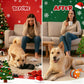 🔥LAST DAY SALE 60% OFF!!🎁Smart Interactive Pet Toy Ball