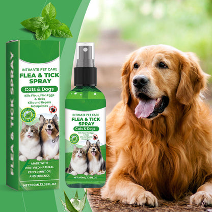 🥳2026 HOT SALE🥳💞50K+ SOLD!🍃🐾 50% OFF! Natural Flea & Tick Spray – Peppermint & tea tree oil, safe for cats & dogs. Soothes itchy skin, no harsh chemicals. Just spray & go. A gentle pest solution. 🌿✨