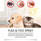 🥳2026 HOT SALE🥳💞50K+ SOLD!🍃🐾 50% OFF! Natural Flea & Tick Spray – Peppermint & tea tree oil, safe for cats & dogs. Soothes itchy skin, no harsh chemicals. Just spray & go. A gentle pest solution. 🌿✨