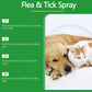 🥳2026 HOT SALE🥳💞50K+ SOLD!🍃🐾 50% OFF! Natural Flea & Tick Spray – Peppermint & tea tree oil, safe for cats & dogs. Soothes itchy skin, no harsh chemicals. Just spray & go. A gentle pest solution. 🌿✨