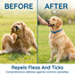 🎉This Week's Special Sales - 60% OFF✨Natural Essential Oil Pet Pest Repellent Collar