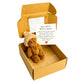 🎁Gift Idea Hot Sale 60% OFF🔥Mini Plush Pocket Teddy Bear with Greeting Card & Gift Box