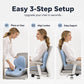 🎉This Week's Special Sales - 60% OFF✨Ergonomic Memory Foam Seat Cushion with Back Support