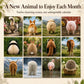 🎉This Week's Special Sales - 60% OFF✨Funny Animal Butt Wall Calendar