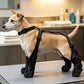 ⏰🐕Hot Sale 60% OFF💦Waterproof Anti-Drop Dog Boots with Adjustable Harness Suspender