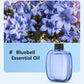 🎁Gift Idea Hot Sale 59% OFF🌸Automatic Aromatherapy Diffuser