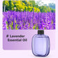 🎁Gift Idea Hot Sale 59% OFF🌸Automatic Aromatherapy Diffuser