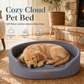 🔥Limited time offer💤 Detachable Oval Pet Bed – Cozy, Moisture-Proof, Scratch Resistant ✨