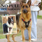 🐶 50% OFF NOW! 🛡️No Pull Dog Harness with Leash & Collar LED – Secure & Comfortable ✨