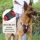 🐶 50% OFF NOW! 🛡️No Pull Dog Harness with Leash & Collar LED – Secure & Comfortable ✨