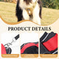🐶 50% OFF NOW! 🛡️No Pull Dog Harness with Leash & Collar LED – Secure & Comfortable ✨