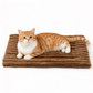 ❄️Winter Hot Sale 60% OFF🐕Cozy Warm Plush Pet Sleeping Mat